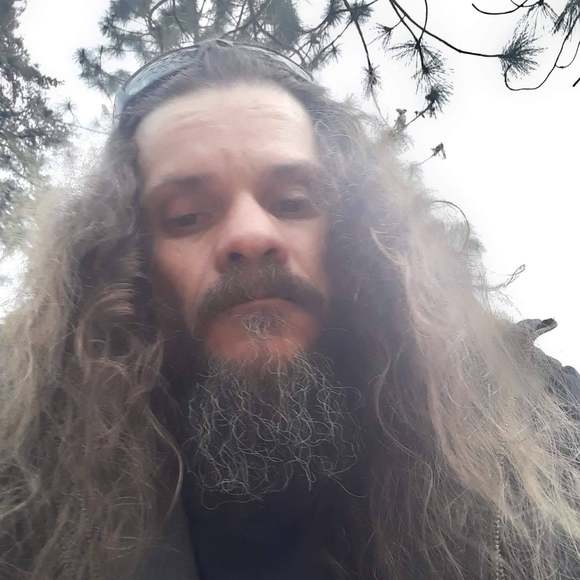 Free to good home - Picture 7 of 16